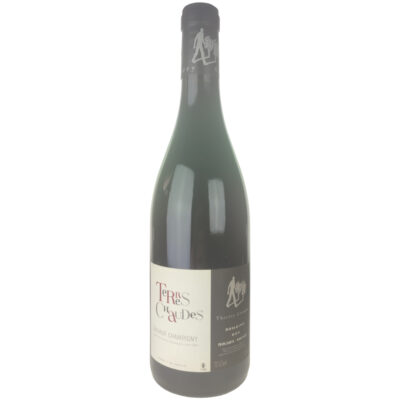 Saumur Champigny rouge Terres Chaudes 2024, Domaine des Roches Neuves